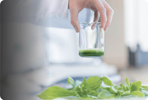 yves-rocher-botanica-prodotti-naturali-principi